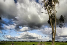 米兰体育,-热刺英超再添胜仗，挺进欧冠资格区