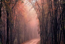 米兰体育app-恩菲尔德替补席深度成优势，冲击世俱杯冠军