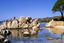 ac米兰体育官网-荷兰国家队遭遇困境，面临小组赛出局压力