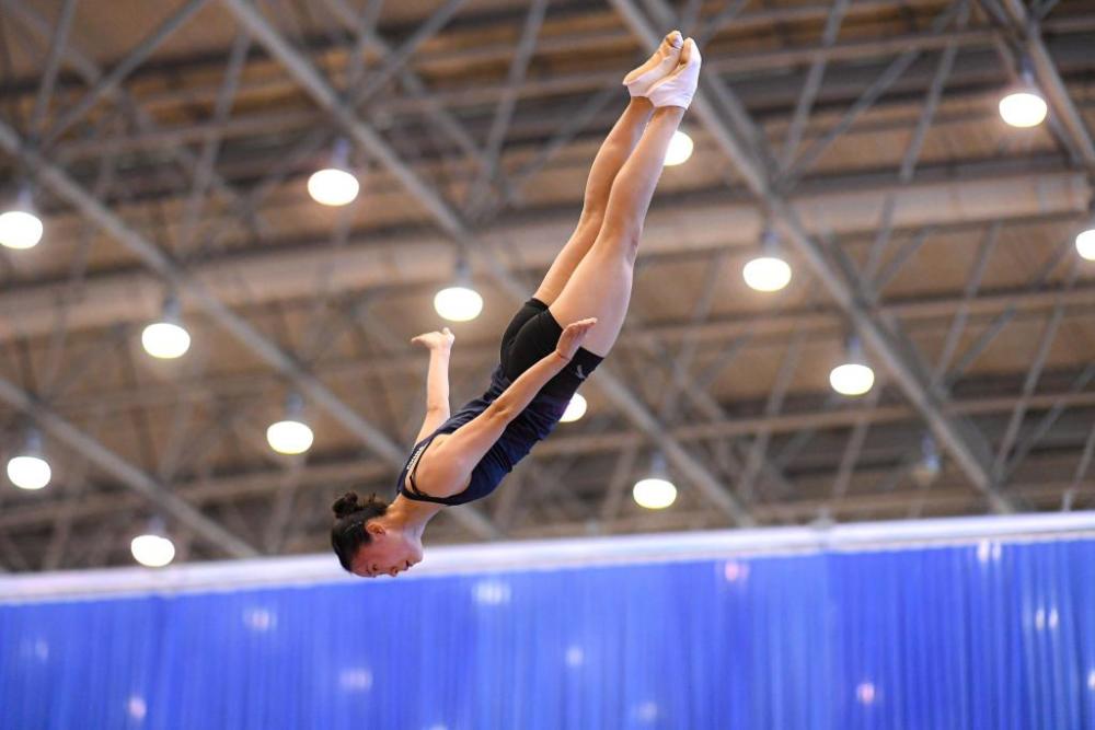 蹦床比赛选手表现抢眼，高空挑战完美呈现！的简单介绍