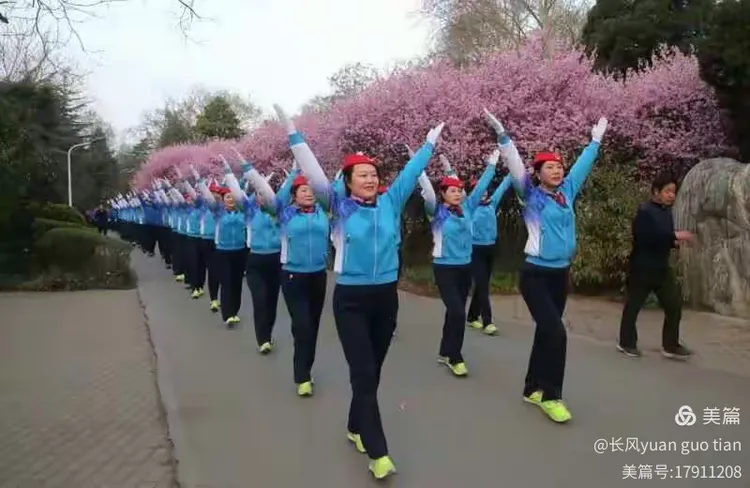 悍不畏难！体操选手高难度动作稳定