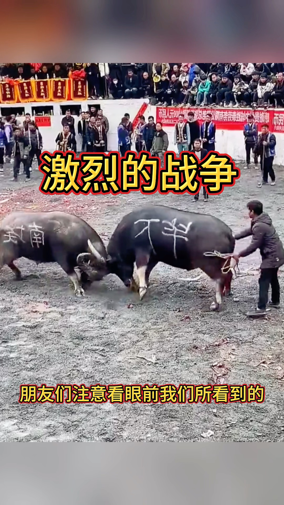 公牛不敌老鹰,遭遇连败 公牛不敌老鹰,遭遇连败