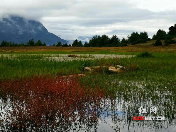 尼泊尔多夫队员奋起对抗，迎接未来挑战